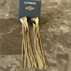 Express Earrings